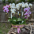 Cargar la imagen en la vista de la galería, Canasta de orquídeas 🌸