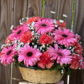 Cargar la imagen en la vista de la galería, Canasta de gerberas 🌸