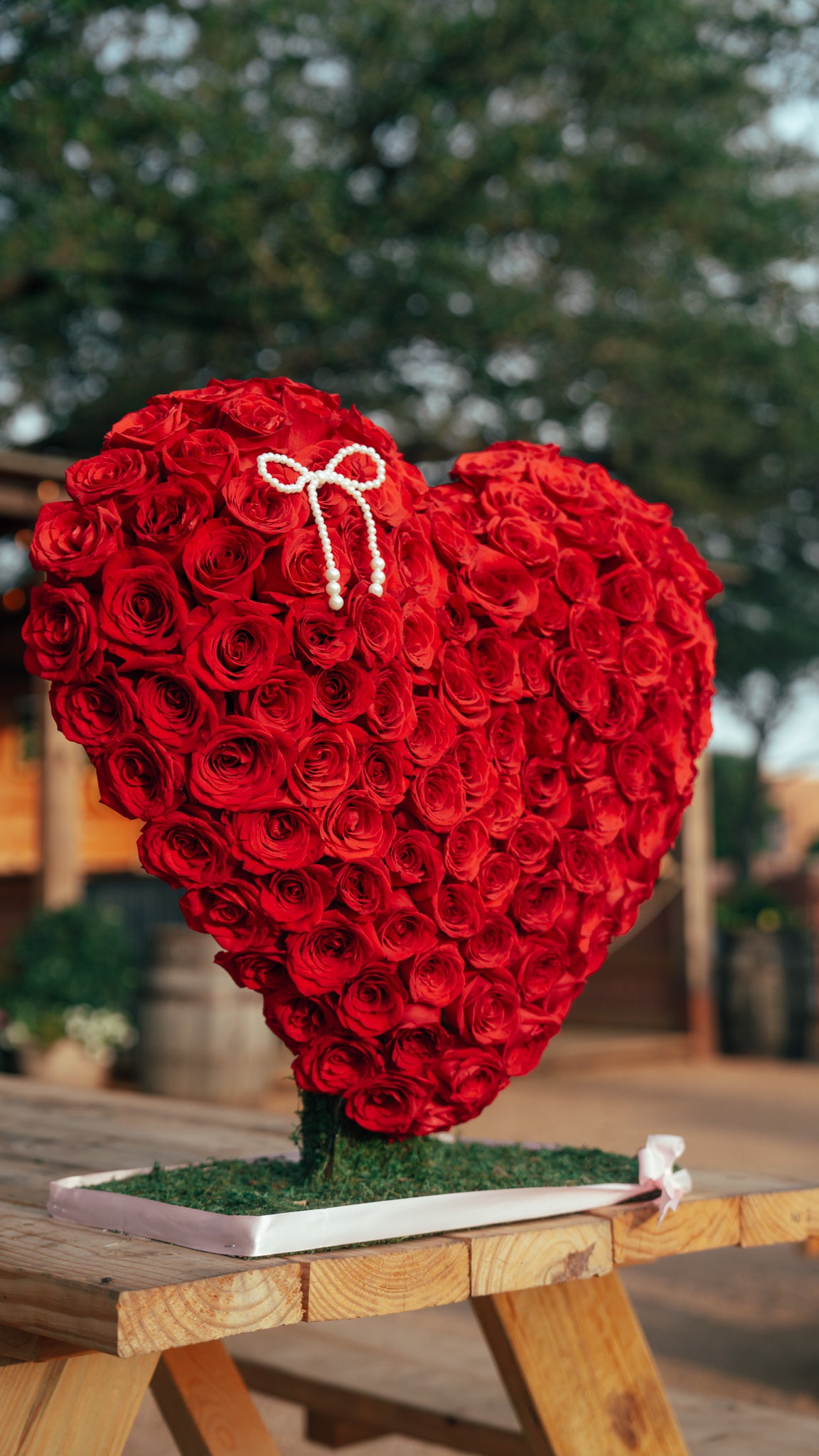 Corazón de rosas ❤️🌹